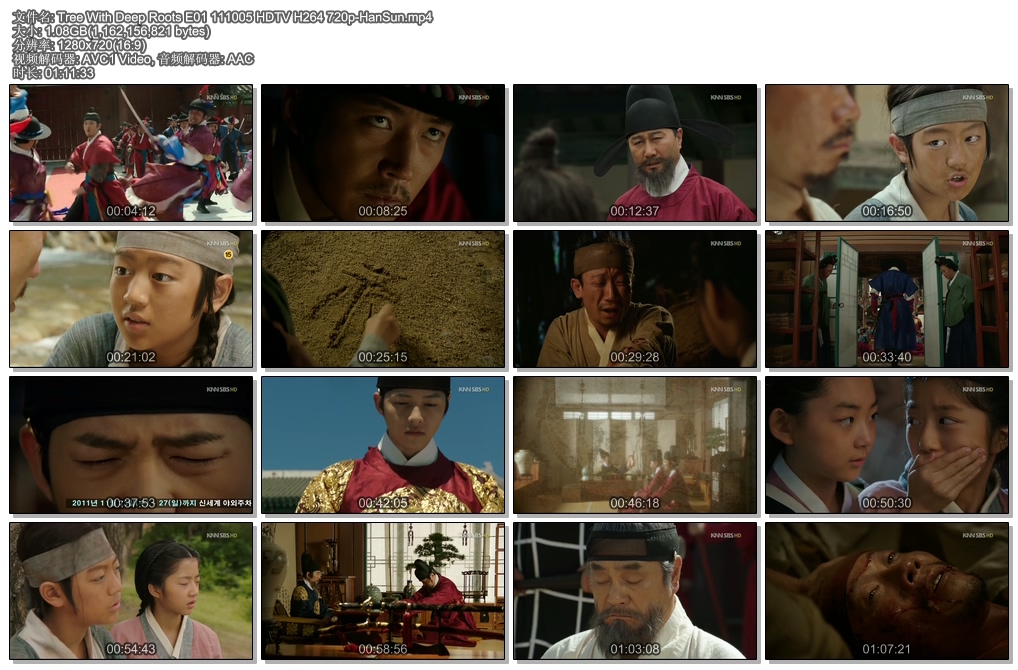 Tree With Deep Roots E01 111005 HDTV H264 720p-HanSun.jpg