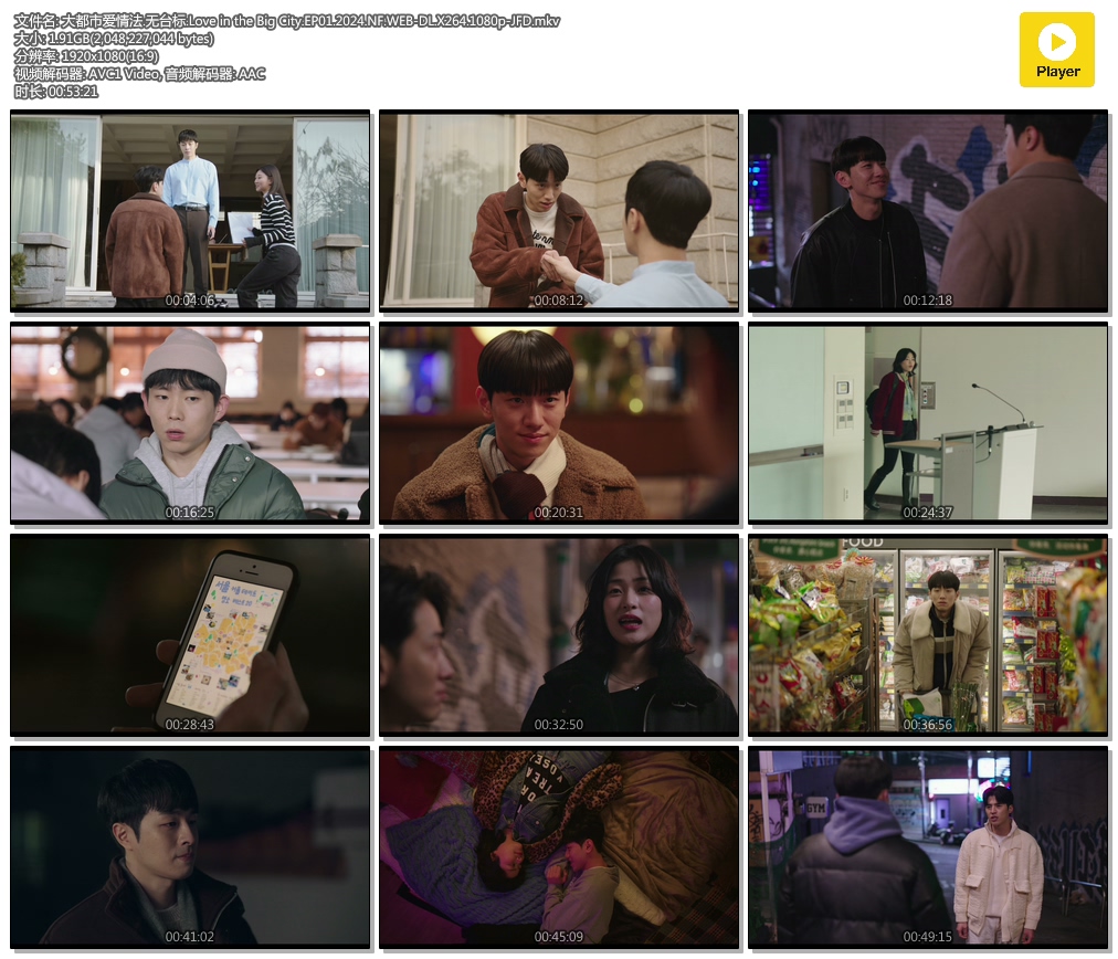 а鷨.̨.Love in the Big City.EP01.2024.NF.WEB-DL.X264.1080p-JFD.mkv.jpg