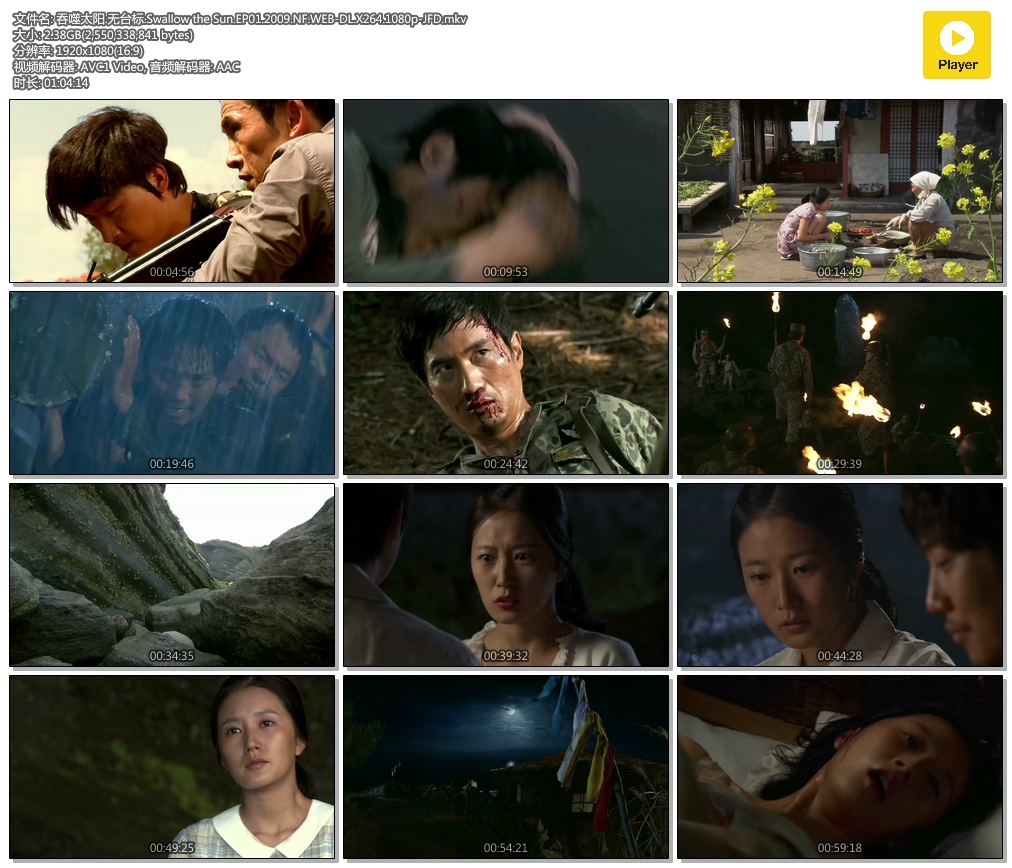 ̫.̨.Swallow the Sun.EP01.2009.NF.WEB-DL.X264.1080p-JFD.mkv.jpg