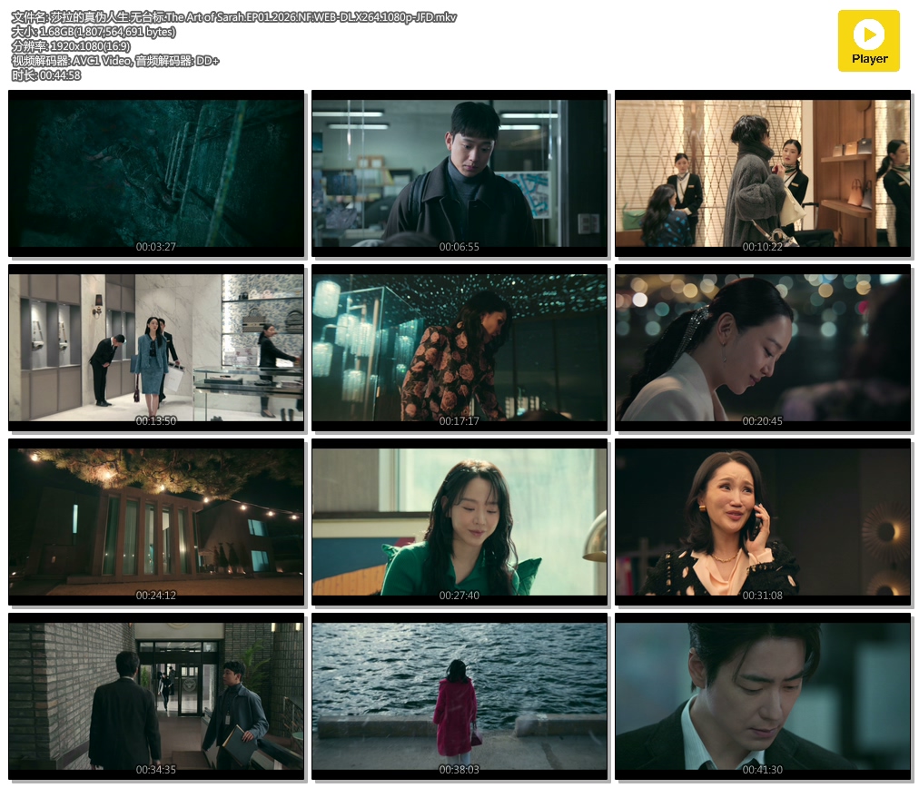 ɯ������α����.��̨��.The Art of Sarah.EP01.2026.NF.WEB-DL.X264.1080p-JFD.mkv.jpg